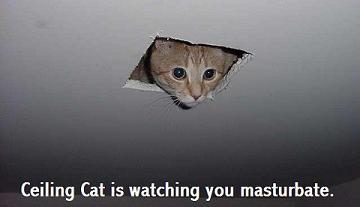 Ceiling Cat